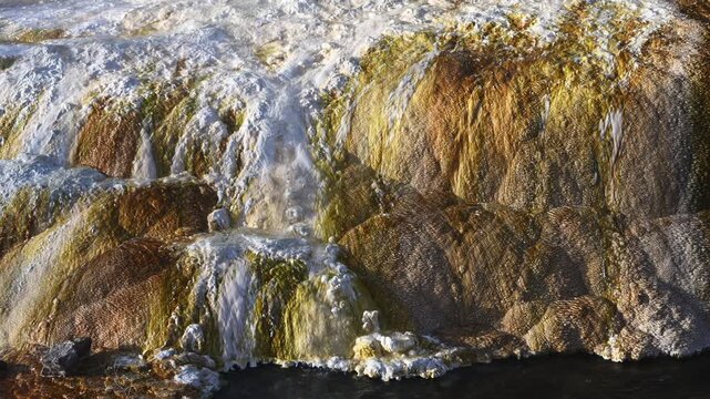 Colorful travertine terraces flowing into Clematis Creek, lower terrace at Mammoth Hot Springs, summer morning on vacation at Yellowstone National Park viewing natural geothermal features
