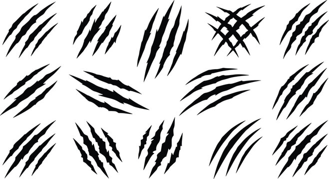 Set of black animal claw scratch marks isolated on white background with animal claws black silhouettes monster scratches tiger scratches lion claws bear marks