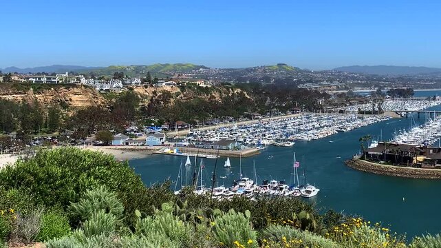 Panoramic view of dana point harbor with boats docked and lush green hills under a clear blue sky on a sunny day.