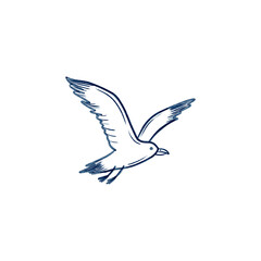 Obraz premium Watercolor hand drawn illustration of seagull. Illustration for decor and design, prints. 