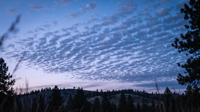 Rippled mackerel sky clouds spread over silhouetted forest hills at twilight