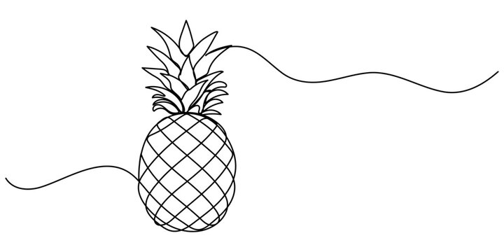Continuous one line drawing pineapple. Tropical pineapple fruit single line art drawing vector design, Pineapple fruit, single line art element, summer travel holiday concept. 