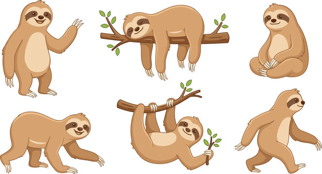Cute cartoon sloth vector illustration set featuring friendly tropical jungle characters hanging on branches sleeping and walking isolated on a white background
