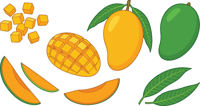 Fresh mango fruit vector illustration set featuring yellow and green mangoes with diced cubes sliced pieces and leaves isolated on white background