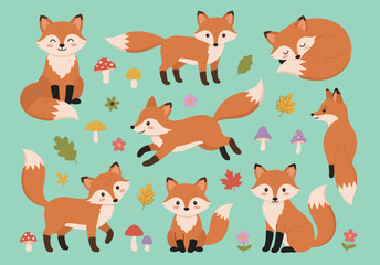 Fototapeta premium Cute Woodland Fox Character Vector Set Featuring Red Foxes in Various Poses Sitting Sleeping Running Walking with Mushrooms Flowers and Autumn Leaves for Forest Graphic Designs