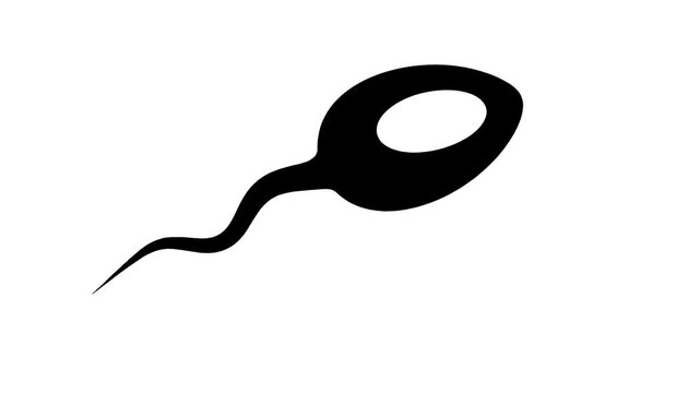 Black sperm cell vector graphic icon animation on white background
