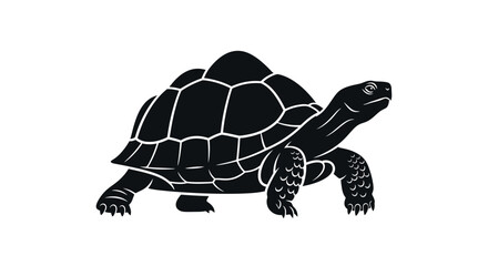 Fototapeta premium Minimalist black and white vector illustration of a walking tortoise.