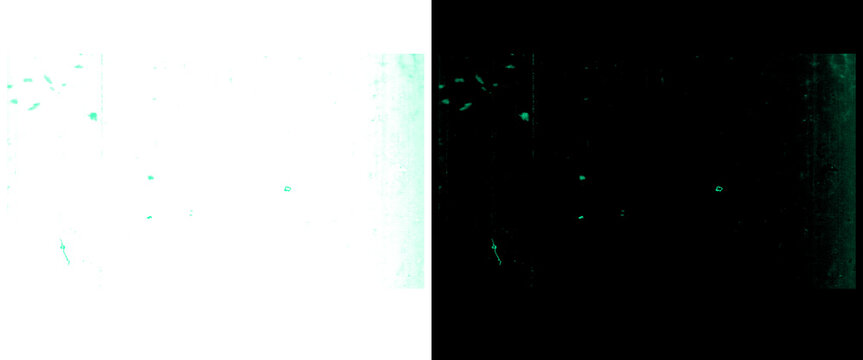 Abstract teal digital noise texture, glitch effect background with grainy particles, minimalist cyan light leak overlay for creative design