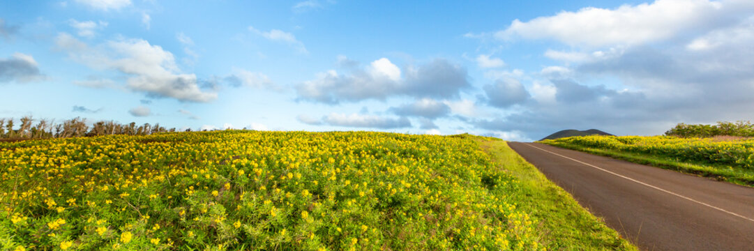 Winding Paved Road Through Rolling Green Hills Under a Blue Sky on Easter Island, Valparaiso, Chile. Banner Web, Copy Space