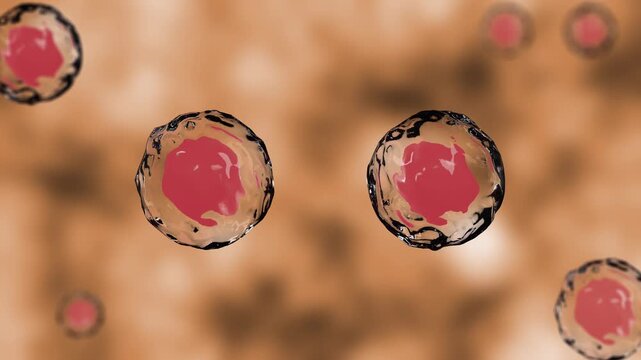 Realistic animation showing microscopic cell division process with orange nucleus for medical science research stock video