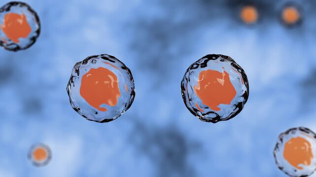 Realistic microscopic cell division process with orange nucleus for medical science research stock video