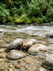 Obraz premium Clear flowing river water over smooth stones in a lush green forest.