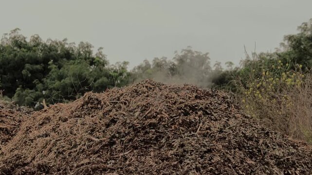 Smoke slowly rising and drifting from a large pile of brown wood mulch outdoors
