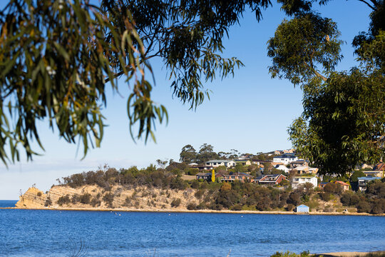 Coastal headland and a shady gumtree at Blackman's Beach, Tasmania