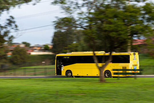 School bus traveling on pickup route in Singleton suburb