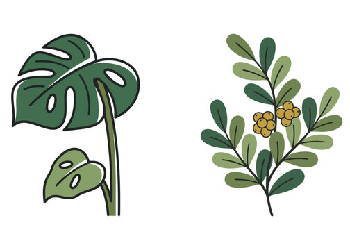 Boho Botanical Leaves & Foliage Cliparts Graphic