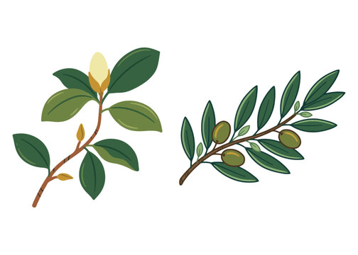 Boho Botanical Leaves & Foliage Cliparts Graphic