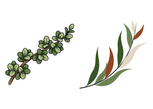 Boho Botanical Leaves & Foliage Cliparts Graphic