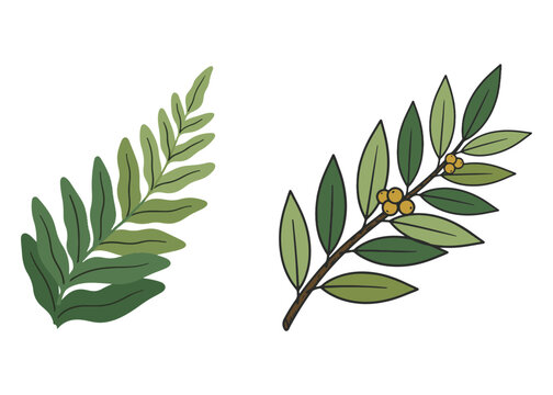 Boho Botanical Leaves & Foliage Cliparts Graphic