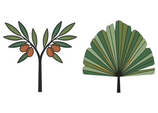 Boho Botanical Leaves & Foliage Cliparts Graphic