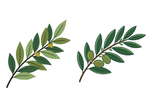 Boho Botanical Leaves & Foliage Cliparts Graphic