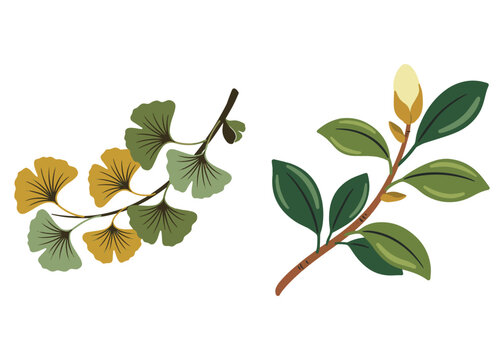 Boho Botanical Leaves & Foliage Cliparts Graphic