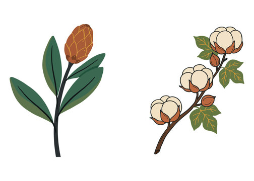 Boho Botanical Leaves & Foliage Cliparts Graphic
