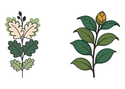 Boho Botanical Leaves & Foliage Cliparts Graphic