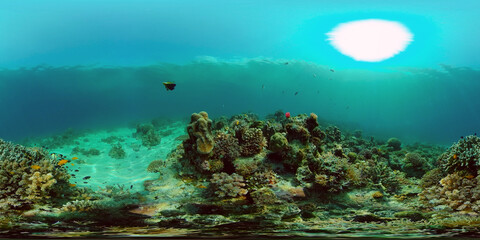 Underwater scene coral reef. Hard and soft corals, underwater landscape. Travel vacation concept. Philippines. Virtual Reality 360. © Alex Traveler