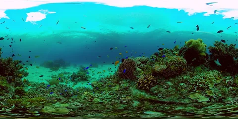 Fotobehang Onderwaterwereld Tropical fishes and coral reef at diving. Underwater world with corals and tropical fishes. Philippines. Virtual Reality 360.  © Alex Traveler