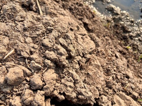 Close-up of rough brown soil texture in agricultural field. Natural clumpy dry earth ground macro background for farming preparation and organic environmental concept.