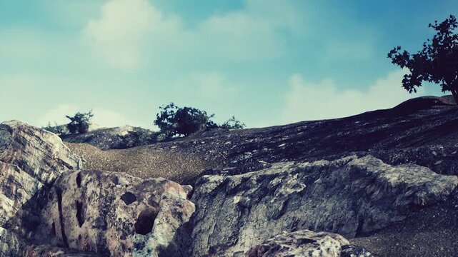 A rocky area with bare patches and some trees is shown under a clear blue sky. The scene captures the textures of the ground and the shapes of the rocks in the midday light.