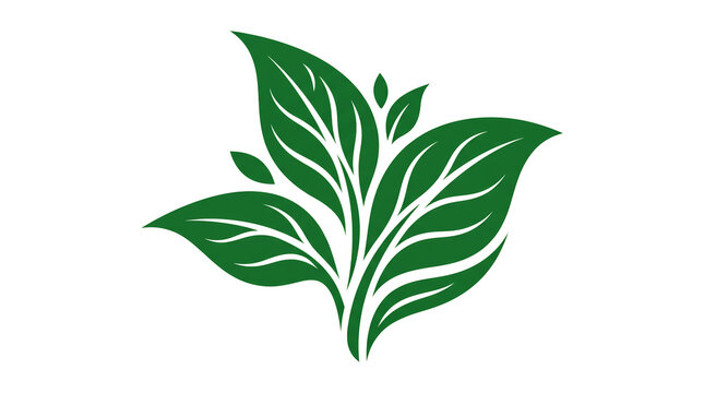 Green Leaf Botanical Logo. Organic Nature and Eco Friendly Symbol. Herbal Wellness Brand Emblem. Elegant Vector Illustration