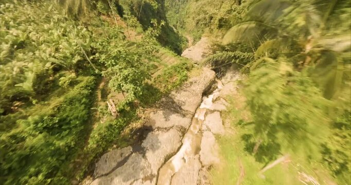 Aerial view of the lush tropical landscape surrounding Tumpak Sewu Waterfall with dense palm trees and a winding river in Kecamatan Pronojiwo, Jawa Timur, Indonesia.