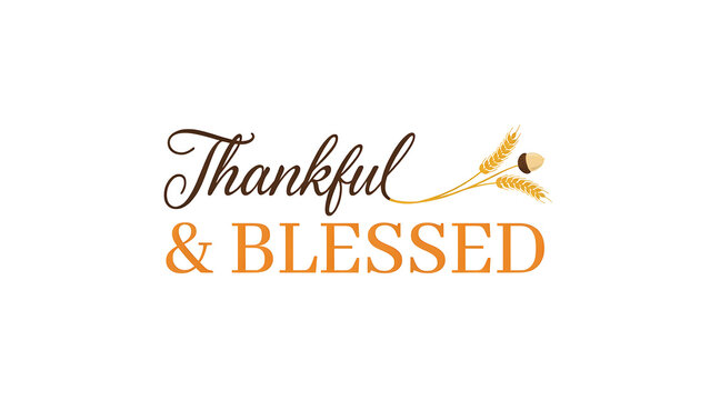 Thankful and blessed elegant script calligraphy text with autumn wheat script typography thanksgiving quote