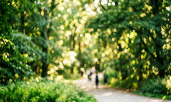 A soft-focus image of a wooded path surrounded by lush greenery, with people walking in the distance, creating a serene and tranquil atmosphere.