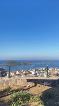 -4K resolution 2160x3840 video
-Vertical Shot Landscape wide view