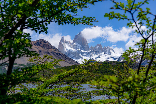 Mount Fitz Roy framed through fresh green beech branches, Patagonia, Argentina