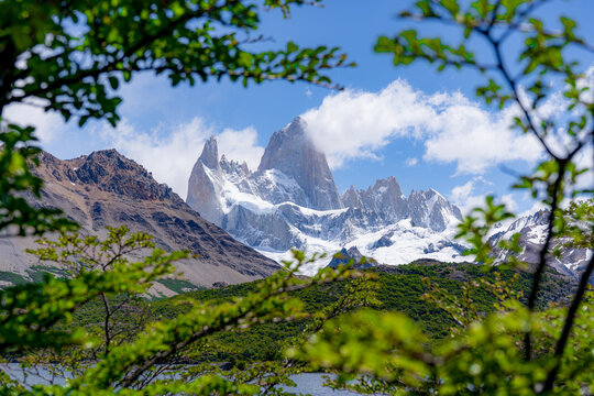 Snow-capped Fitz Roy massif framed by green beech foliage and a lake, Patagonia