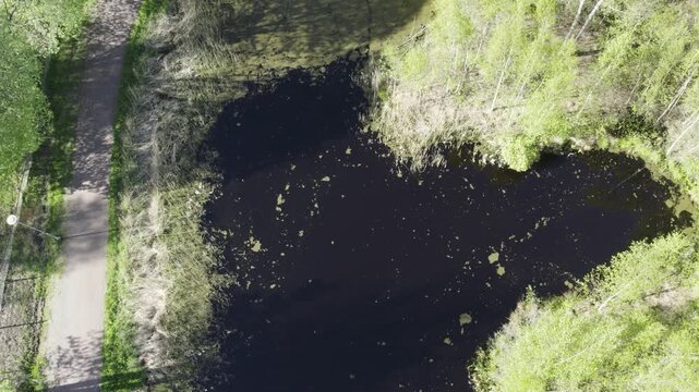 Overfertilized treatment pond with algae bloom. Aerial summer view of murky water and natural purification