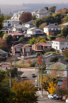 Houses over a hillside area of East Launceston in autumn