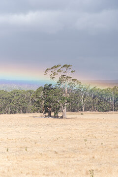 rainbow on the horizon of a rural setting
