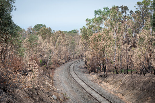 Train line running through Harcourt after the 2026 bush fires