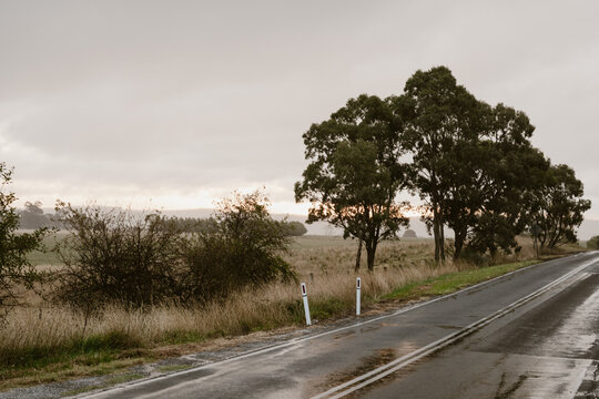 wet rural roads as the sun sets