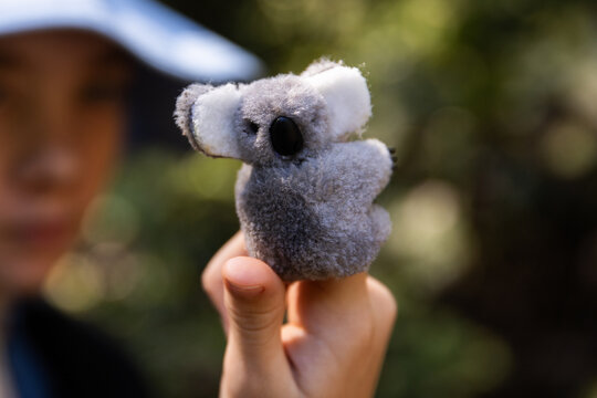 small clip on koala toy on a child's finger