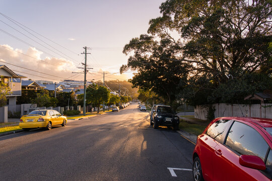 cars parked along a street in a leafy suburb at sunset
