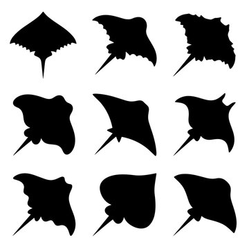 Stringray silhouettes set of various ocean fish species isolated