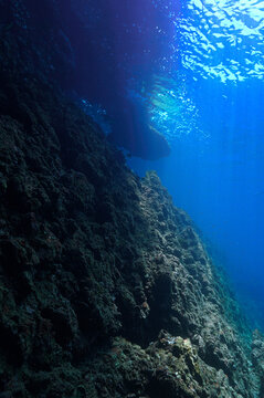 nderwater photo of rays of sunlight over a reef.