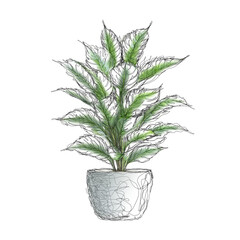 Fototapeta premium Hand Drawn Peace Lily Plant Scribble Art