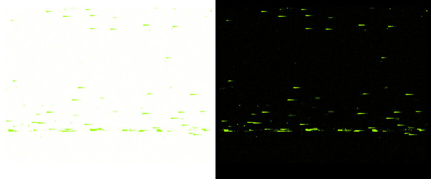 Abstract digital data glitch texture, green electronic noise pattern on black and white background, tech overlay effect